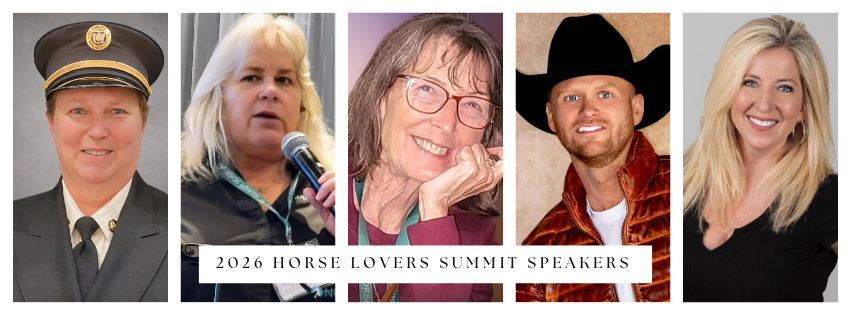 store/pages/2428/HLS_SPEAKER_COLLAGE 2.png